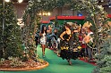 INFA 2009  Teil II   066